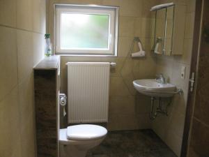 a bathroom with a toilet and a sink and a window at Ferienwohnung Kulla in Albstadt