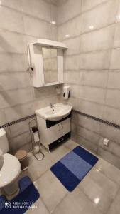 a bathroom with a sink and a toilet and a mirror at Apartment Milena in Virpazar
