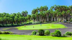 a group of people playing golf on a golf course at 330 - Edf Aguamarina - Vacation Rental Home in the coast line of Golf del Sur in San Miguel de Abona