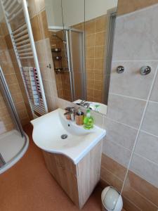 Ванная комната в Apartmány Knížkovi