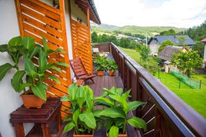 Jardín al aire libre en Cudne Manowce