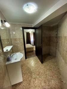 a bathroom with a sink and a mirror at Vila Sorina in Borşa
