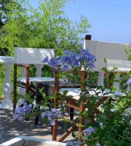 two white chairs and purple flowers in a garden at B&B Villa Mamma Rita in Tortora