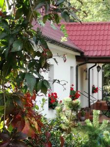 Gallery image of Agroturystyka Rębowo in Kłodawa