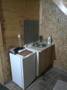 a bathroom with a sink and a small refrigerator at Camp Volujak in Volujak