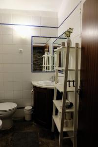 a bathroom with a sink and a toilet and a shelf at Casa das Videiras in Monsaraz