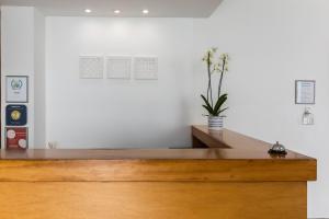 a wooden desk with a potted plant on top of it at Hotel Arcanjo in Rosário-Lagoa