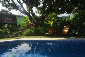 a swimming pool with two benches and a tree at Dolce Uvita in Uvita