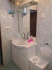 ein Bad mit einem Waschbecken und einem Spiegel in der Unterkunft Apartment Marija in Ždrelac
