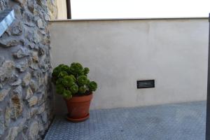 Fotografie z fotogalerie ubytování CASA SOLORGA - apartamentos rurales v destinaci San Miguel de Meruelo