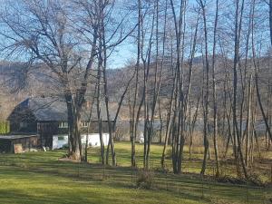 a group of trees and a house in a field at Chalet am See in Keutschach am See