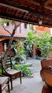 un patio con sillas, un árbol y un edificio en Omah Wetan Homestay, en Malang
