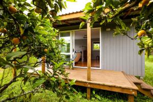 una piccola casa con una terrazza in legno nel cortile di Relax a Lodge a Kerikeri