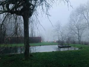 a pond in a park with a tree and a bench at Panacée Guesthouses in Ronse