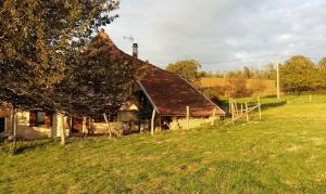 una casa vieja en un campo con un árbol en Au dessus de Parady, en Gillonnay