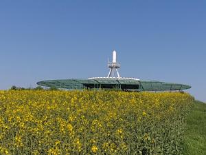 un campo de flores amarillas frente a un edificio en Pension Zum Adler, en Limbach