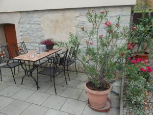 a patio with a table and chairs and plants at Pension Am Werder in Bernburg