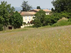 モントレアルにあるDomaine De La Petite Tourの家の前の花畑