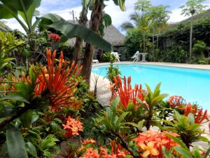 Piscine de l'établissement Pension De La Plage ou située à proximité