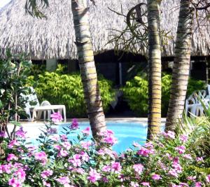 Jardin de l'établissement Pension De La Plage