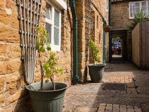 two large potted plants sitting on the side of a building at Phelips Arms in Yeovil