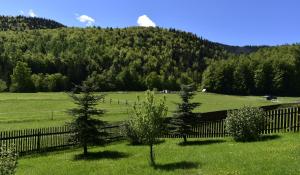 Príroda v okolí apartmánu