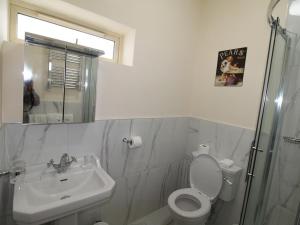 La salle de bains est pourvue de toilettes et d'un lavabo. dans l'établissement The Post House, à Kinsale