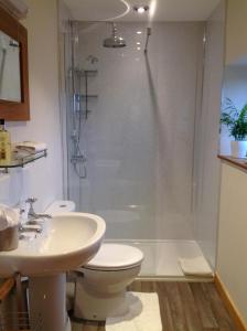 a bathroom with a shower and a toilet and a sink at Primrose Cottage in Norwich