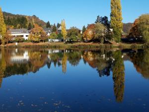 een meer met bomen die reflecteren in het water bij Landgasthof Ralinger Hof in Ralingen