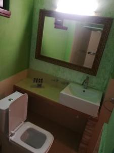 uma casa de banho com um WC, um lavatório e um espelho. em Guest House Ioanna Arachova em Arachova
