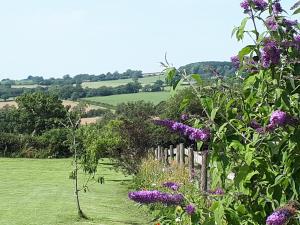 ストーンにある1 Bedroom Apartment with a Wonderful Viewの紫の花と柵のある庭園