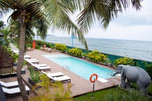 an elephant statue standing next to a swimming pool at Panafrica Hotel Boutique & Spa in Bata