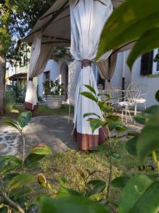 A garden outside Villa Elvira