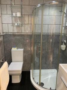 a bathroom with a shower and a toilet at Launceston Villa in Whitby