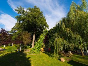 ein Park mit Bäumen und grünem Gras an einem sonnigen Tag in der Unterkunft Seeschloß in Lanke