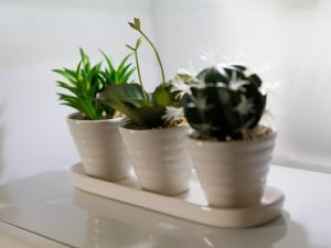 three plants in white pots sitting on a shelf at Live in Leeds Sky Penthouse in Leeds