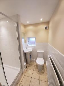 a bathroom with a toilet and a sink and a shower at Saltburn Holidays Primrose Cottage in Guisborough