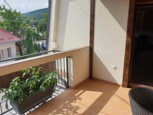 un balcón con 2 macetas en un edificio en Apartmány u Zbojnika Zabojnika, en Bojnice