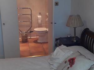 a bedroom with a bathroom with a toilet and a bed at The Old Library & Lodge in Arisaig