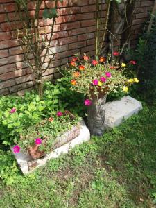 a group of flowers in a garden next to a brick wall at APPARTAMENTO PARADISO CA' GIULIA in Venice
