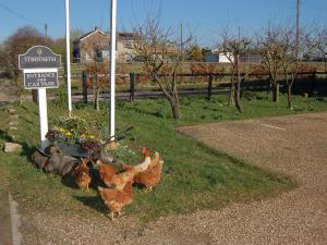 two chickens standing in the grass next to a street sign at Strenneth in Fersfield