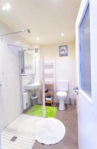 a bathroom with a shower and a toilet and a sink at Ferienwohnung Emmi in Bad Neuenahr-Ahrweiler