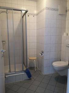 ein Bad mit einer Dusche und einem WC in der Unterkunft Pension Marcus in Bad Gögging