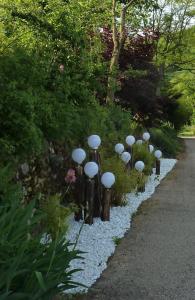 a garden with a bunch of mushrooms on a path at Lyon Campagne in Rontalon