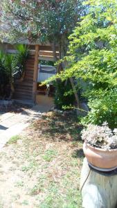Vonkajšia záhrada v ubytovaní Apartment Floresita
