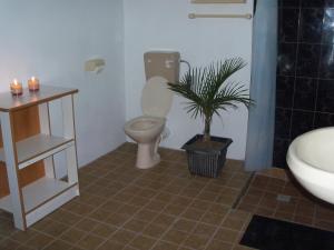 La salle de bains est pourvue de toilettes et d'une plante en pot. dans l'établissement Villa Anse Goeland, à Rodrigues Island