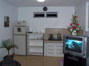 a kitchen with a refrigerator and a tv in a room at Villa Anse Goeland in Rodrigues Island