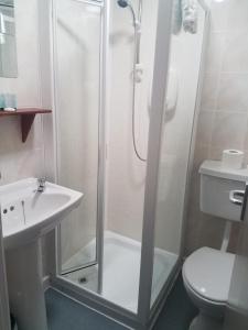 a bathroom with a shower and a toilet and a sink at Craven Heifer Ingleton in Ingleton 