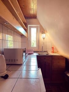 Una cocina grande con fregadero y ventana. en Villa Cecylia, en Zakopane