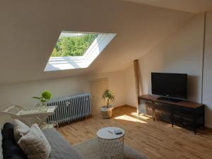 a living room with a skylight and a television at Studio 11 in Neuffen